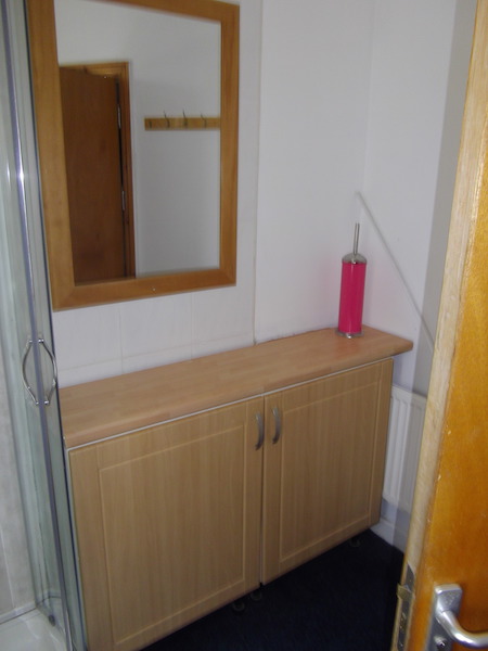 King Student Lettings - Swansea Lettings - 14 Pantygwyder Road Bathroom 1 (2)