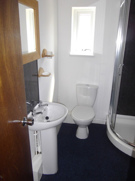 King Student Lettings - Swansea Lettings - 17 Hawthorne Avenue Bathroom 1 (3)