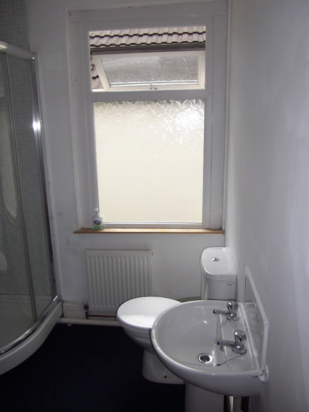 King Student Lettings - Swansea Lettings - 2 Ernald Place Bathroom 1 (5)